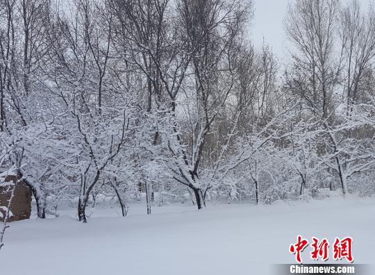 甘肃张掖市沿祁连山地区普降大雪