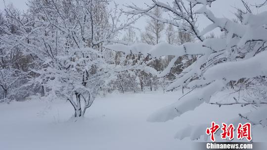 甘肃张掖市沿祁连山地区普降大雪